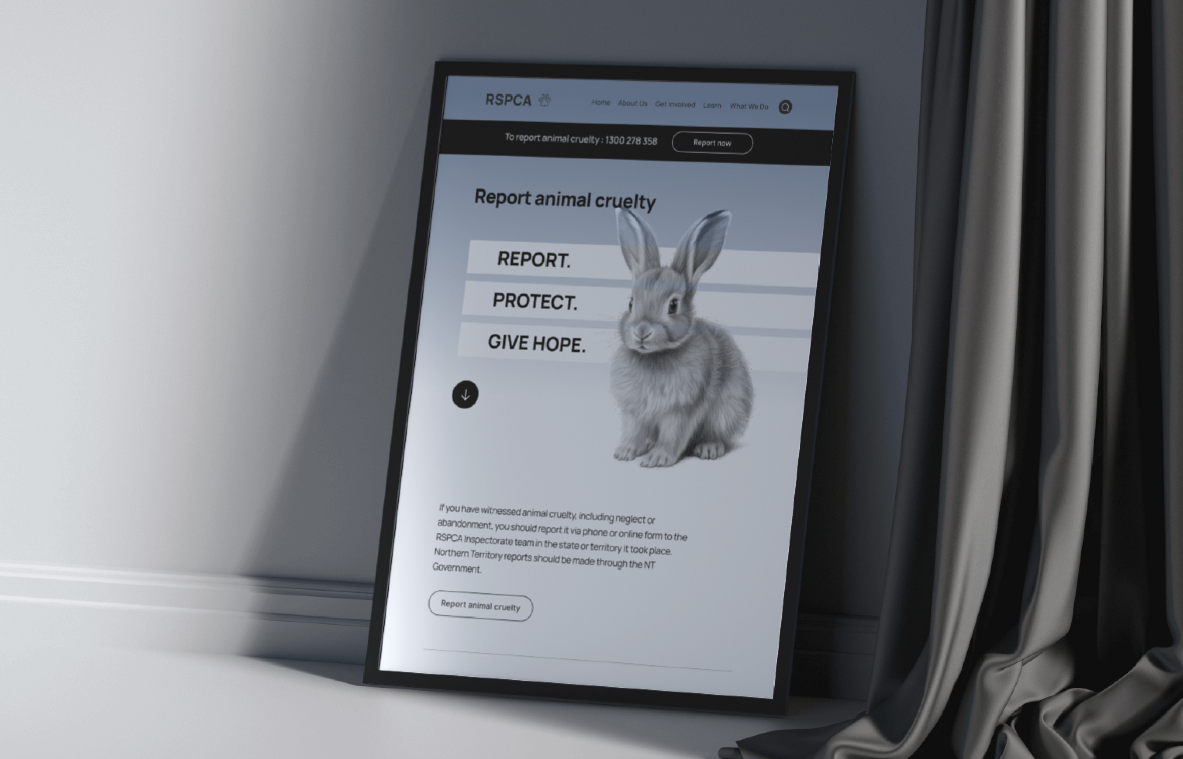 RSPCA Redesign Form